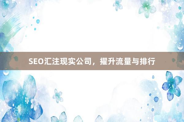 SEO汇注现实公司，擢升流量与排行